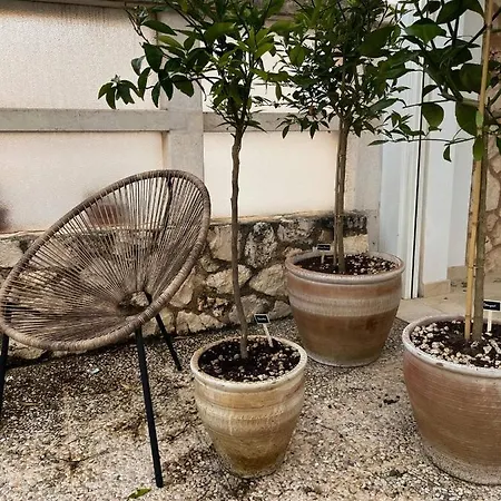 Apulian Vibes Modern Villa