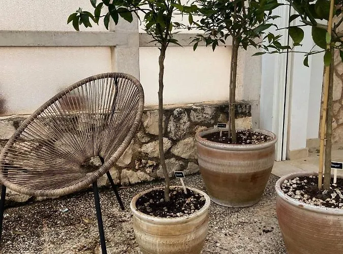 Apulian Vibes Modern Villa